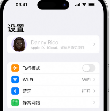 三更罗镇appleID维修服务iPhone设置中Apple ID显示为灰色无法使用 