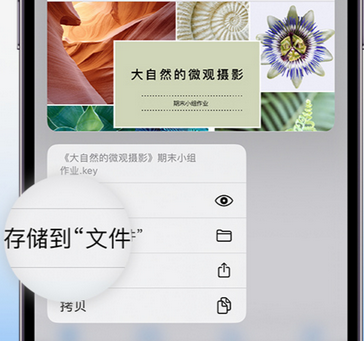 三更罗镇apple维修中心分享iPhone文件应用中存储和找到下载文件