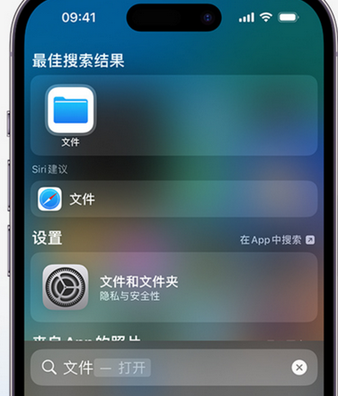 三更罗镇apple维修中心分享iPhone文件应用中存储和找到下载文件 