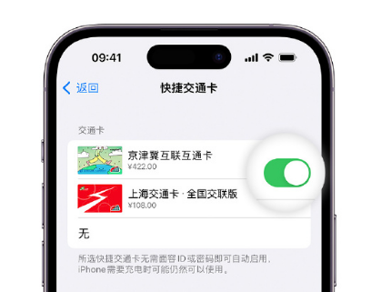 三更罗镇apple维修点分享iPhone上更换Apple Pay快捷交通卡手绘卡面 