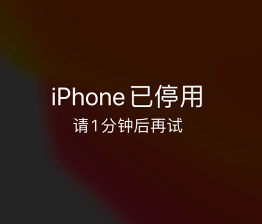 三更罗镇苹果手机维修分享:iPhone 显示“不可用”或“已停用”怎么办？还能保留数据吗？ 