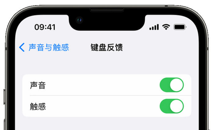 三更罗镇苹果手机维修分享iPhone 14触感键盘使用方法 