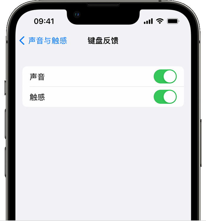 三更罗镇苹果14维修店分享如何在 iPhone 14 机型中使用触感键盘 