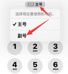 三更罗镇苹果14维修店分享iPhone 14 Pro Max使用副卡打电话的方法 