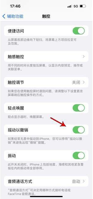 三更罗镇苹果手机维修分享iPhone手机如何设置摇一摇删除文字 