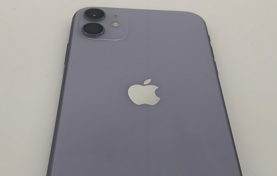 三更罗镇苹果11系统维修分享iPhone11手机系统崩溃无法开机如何解决 